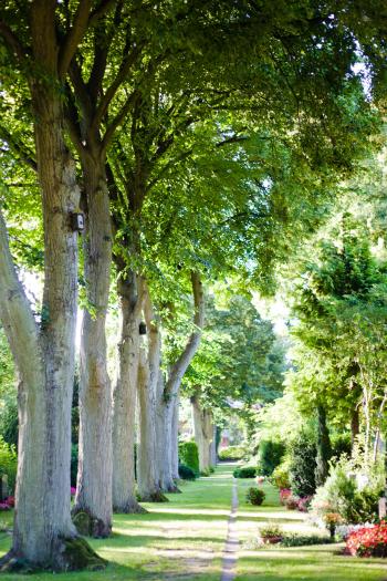 Impressionen Friedhof